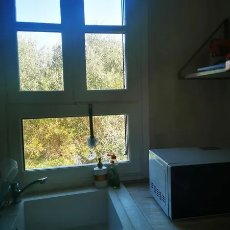 Casa vacanze Maison Des Oliviers Afytos