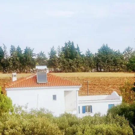 Maison Des Oliviers *